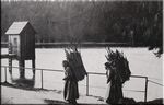 Frauen tragen gesammeltes Holz nach Hause